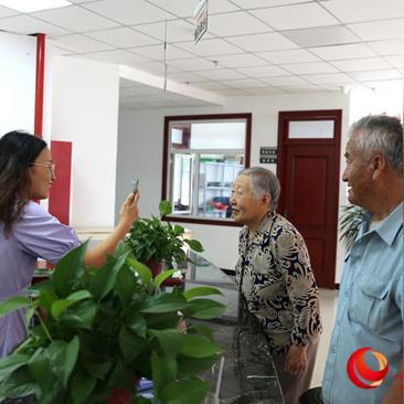 羊了个羊1月5日通关攻略,速看!破解技巧大揭秘 羊了个羊1月5日通关攻略,速看!破解技巧大揭秘