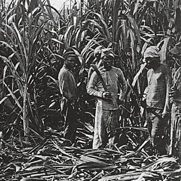 《纪元1800》居民任务/远征攻略：快速升级秘诀！