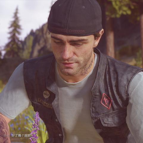 《往日不再》全草药植物位置一览攻略!高效收集指南 《往日不再》全草药植物位置一览攻略!高效收集指南