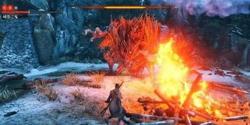 《只狼》韧性周目解怨恨鬼打法攻略