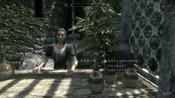 《上古卷轴5》传奇炼金师开局必看攻略！