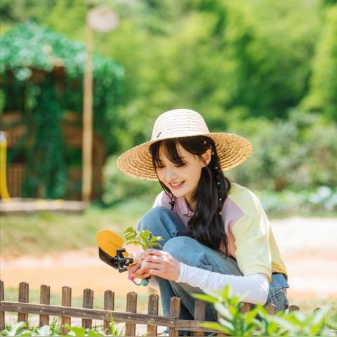 《森林》武器道具大全合成配方揭秘 《森林》武器道具大全合成配方揭秘