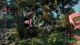 《孤岛惊魂新曙光》剧情揭秘：揭秘核心剧情！