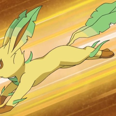 《精灵宝可梦皮卡丘伊布》全精灵性格配招攻略揭秘