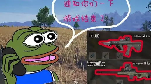 绝地求生WADU击杀集锦揭秘：水平如何？