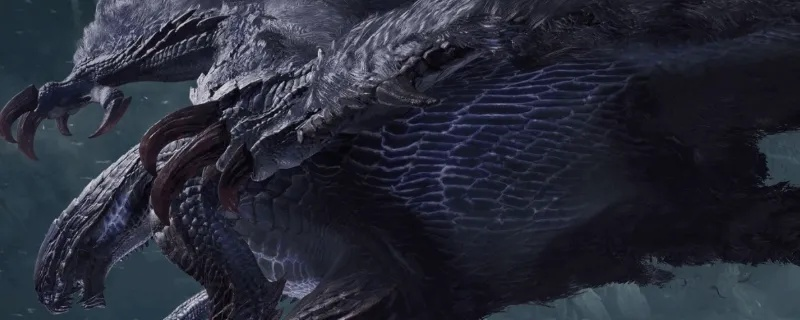 《荒野猎人斩斧黑蚀龙攻略》 《荒野猎人斩斧黑蚀龙攻略》