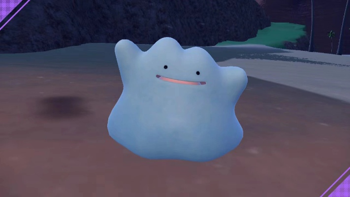 《宝可梦朱紫》百变怪6星攻略汇总