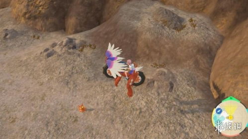 《宝可梦朱紫》米立龙刷闪攻略 米立龙闪避技巧