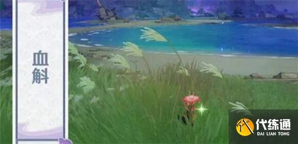 《原神3.3版血斛高效搜集指南》 《原神3.3版血斛高效搜集指南》