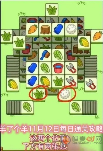 《羊了个羊》12月10日通关攻略揭秘