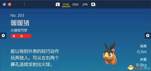 宝可梦术语行动顺序详解 宝可梦术语行动顺序详解