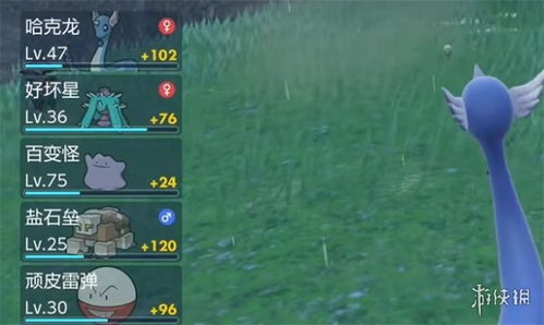 宝可梦朱紫高效刷努力值地点攻略