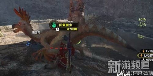 《怪物猎人崛起》黑蚀龙金攻略 《怪物猎人崛起》黑蚀龙金攻略