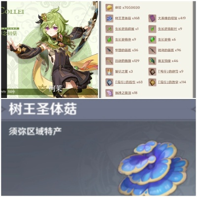 《原神》柯莱树王圣体菇采集攻略