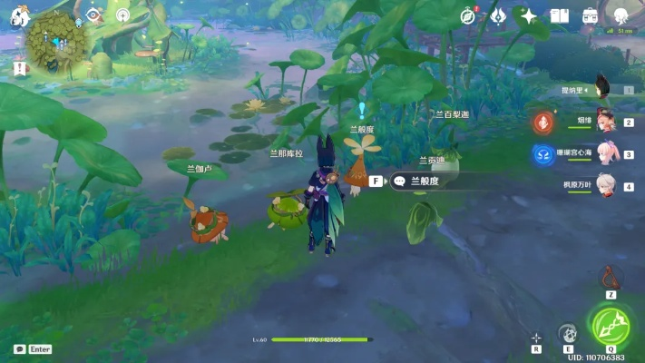 《原神》梦苗圃任务攻略：森书梦苗圃任务流程解析