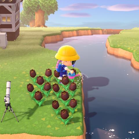 《动物森友会》地球日活动时间及内容