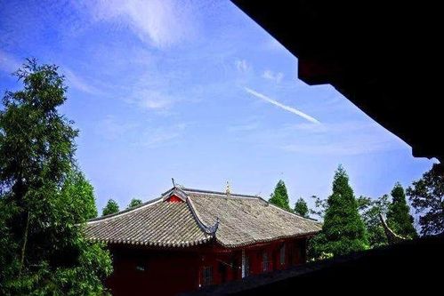 《羊了个羊》11月6日第二关通关秘籍