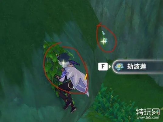 原神劫波莲采集攻略:点位标注核心路线 原神劫波莲采集攻略:点位标注核心路线