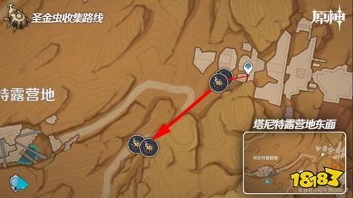 《原神》圣金虫快速采集攻略 《原神》圣金虫快速采集攻略