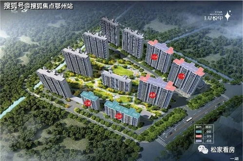 动物园之星最低售价查询 动物园之星最低售价查询