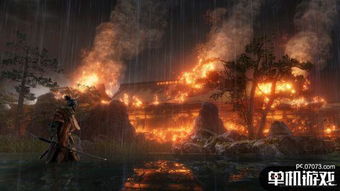 只狼:影逝二度 Steam售价揭晓 只狼:影逝二度 Steam售价揭晓