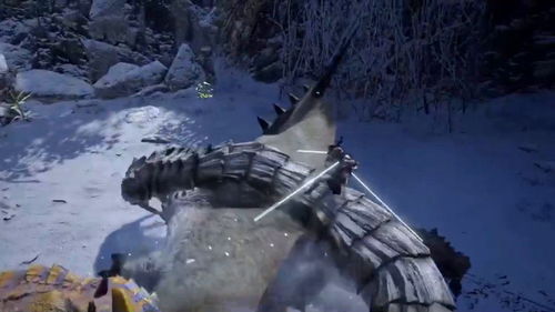 《怪物猎人崛起》操龙系统攻略 《怪物猎人崛起》操龙系统攻略