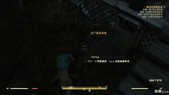 辐射76全主线支线任务图文攻略