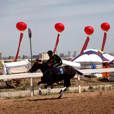 《荒野大镖客2》野马分布解析 骑手挑战技巧 《荒野大镖客2》野马分布解析 骑手挑战技巧