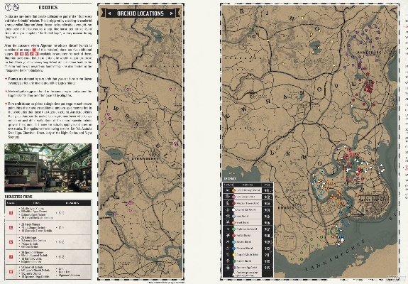 《荒野大镖客2》珍品兰花全植物位置揭秘 《荒野大镖客2》珍品兰花全植物位置揭秘