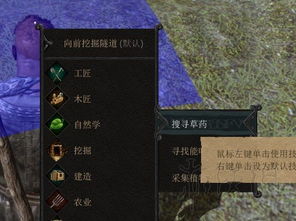 皇家领地全职业技能详解攻略 皇家领地全职业技能详解攻略