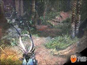 《怪物猎人世界》全稀有生物分布图 《怪物猎人世界》全稀有生物分布图