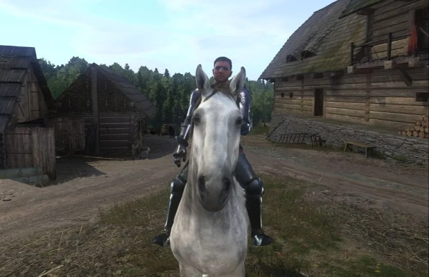 《天国拯救》马匹速度耐力属性解析