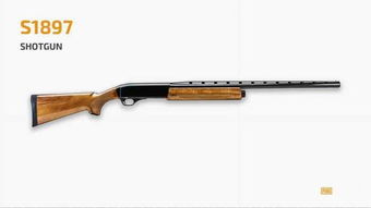 绝地求生:哪款手枪性能卓越? 绝地求生:哪款手枪性能卓越?