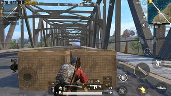 绝地求生堵桥战术攻略 绝地求生堵桥战术攻略