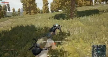 绝地求生倒地爬行掉血速度与DP28打车伤害测试 绝地求生倒地爬行掉血速度与DP28打车伤害测试