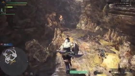 《怪物猎人世界》怪物图鉴：各场景怪物视频展示