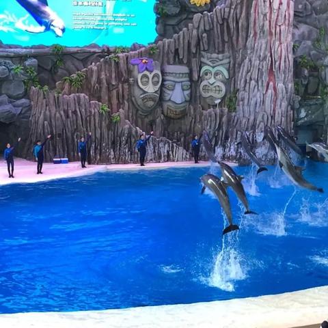 《星之海洋4》多限制流程攻略视频 《星之海洋4》多限制流程攻略视频