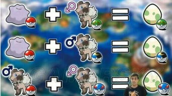 口袋妖怪究极日月特典岩狗狗获取攻略 口袋妖怪究极日月特典岩狗狗获取攻略