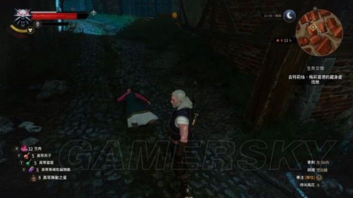 巫师3主线选项支线汇总结局解析 巫师3主线选项支线汇总结局解析