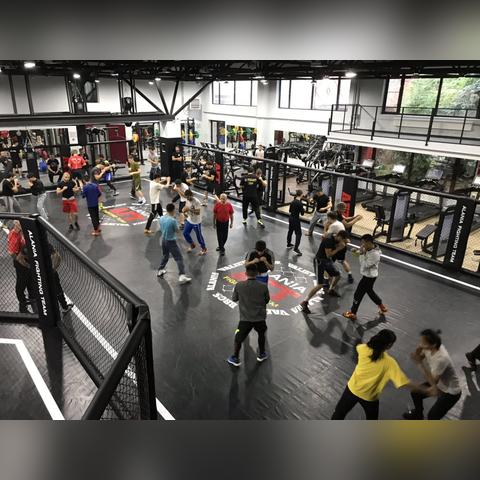 《拳击俱乐部》攻略:全主线支线任务流程详解 《拳击俱乐部》攻略:全主线支线任务流程详解