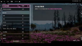 《孤岛惊魂2》设置界面核心功能