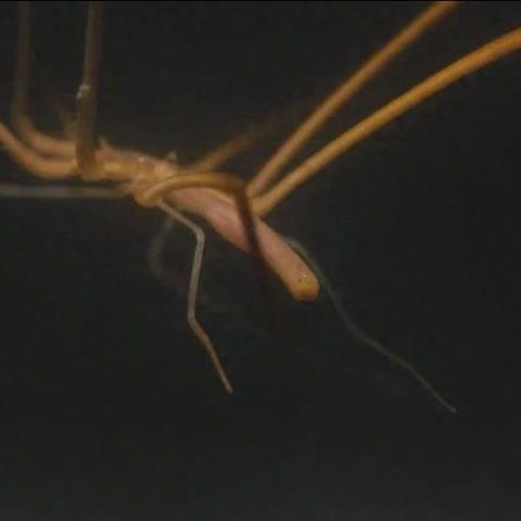 X360《无尽的未知》战斗系统揭秘