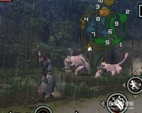 《怪物猎人2G》全怪物弓讨伐核心配装 《怪物猎人2G》全怪物弓讨伐核心配装