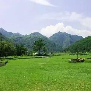 《羊了个羊》12月1日视频攻略解析 《羊了个羊》12月1日视频攻略解析