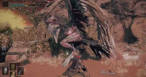 艾尔登法环蒙格温王朝地图攻略路线及碎片位置 艾尔登法环蒙格温王朝地图攻略路线及碎片位置