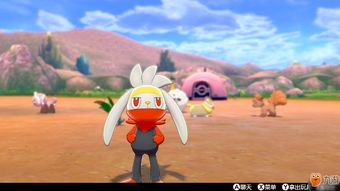 宝可梦剑盾伽勒尔急冻鸟捕获攻略 宝可梦剑盾伽勒尔急冻鸟捕获攻略