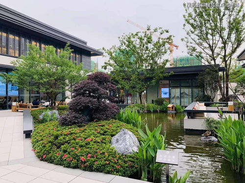 《死亡搁浅》操作指南:按键操作核心解析 《死亡搁浅》操作指南:按键操作核心解析