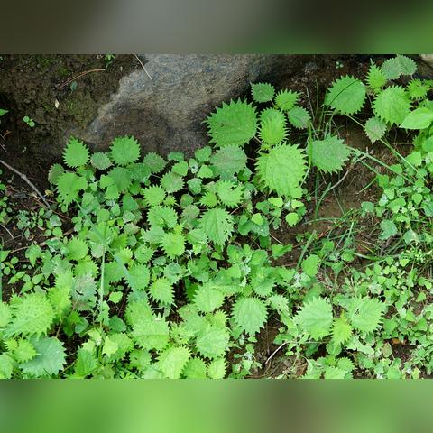 《亦春秋》攻略：战斗、冒险与探索系统深度解析