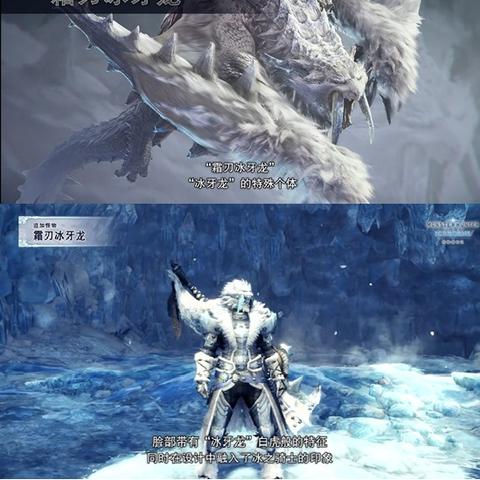 《怪物猎人世界》冰原3历战调查怪物刷珠子难度解析