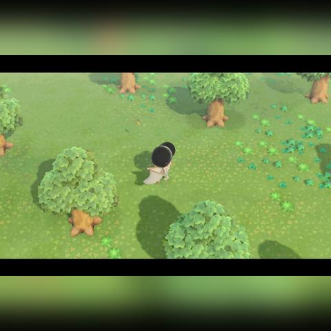 《动物森友会》五一活动时间预告 《动物森友会》五一活动时间预告